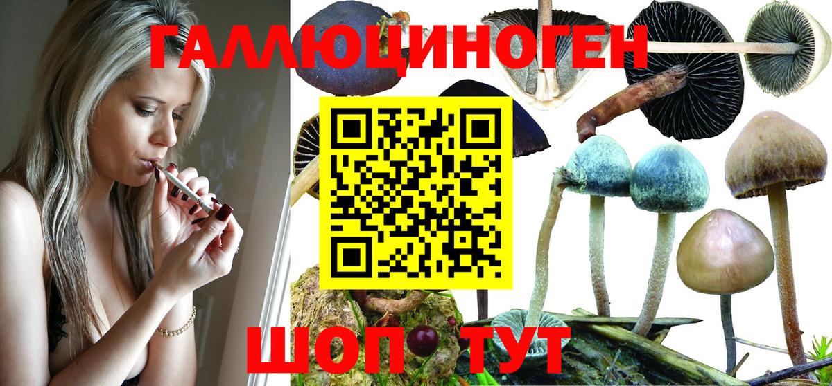Москва  Галлюциногенные грибы MAGIC MUSHROOMS  Вход с VPN 